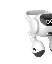 LG开发了一种由人工智能驱动的双足机器人 可以为您看管宠物