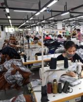 半年没订单 越南成衣巨擘Garmex去年亏6760万、老董年薪归零