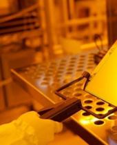 传DNP 2027量产2纳米芯片用光罩 股价飙涨5%