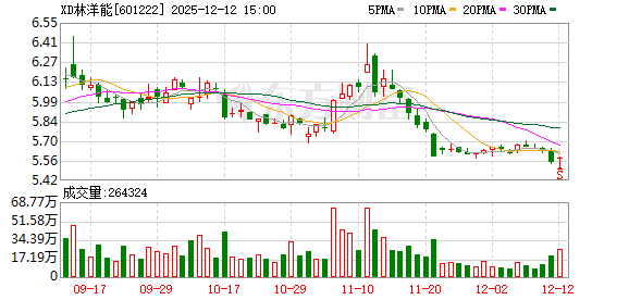 林洋能源：已形成以智能电表、储能系统、新能